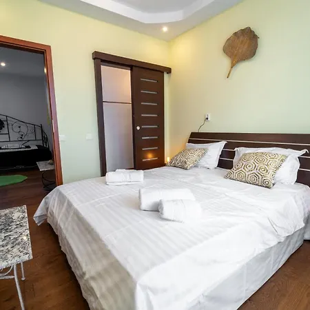 5* House With View. 4 Parking Places Villa Cluj-Napoca